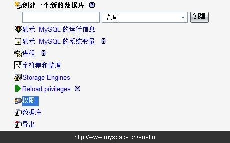 phpmyadmin中为站点设置mysql权限的图文教程-图片4