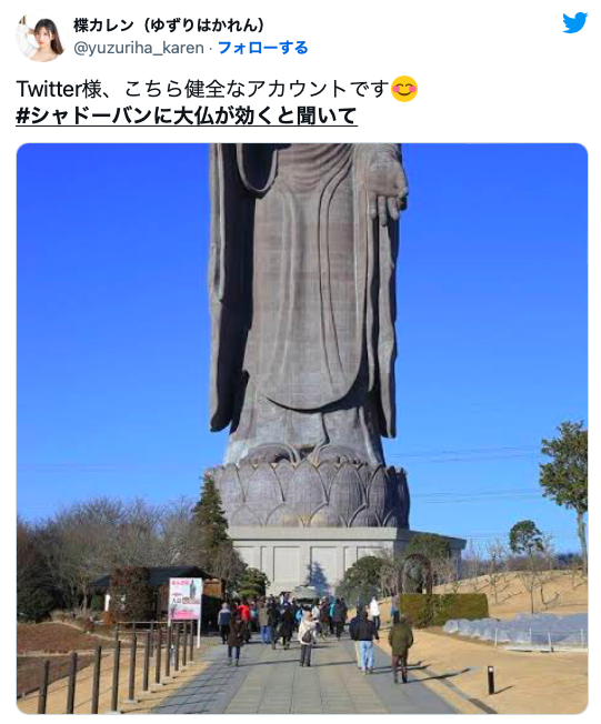 突破twitter封锁！来看女优们的大佛普拉斯！-图片7